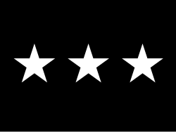 Flag of a Lieutenant General in the United States Space Force.