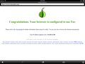 Onion Browser on iPad