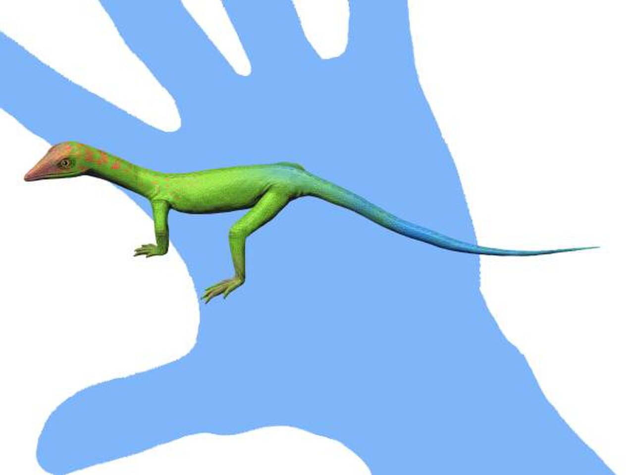Cosesaurus NT small.jpg