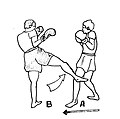 An outside leg kick.