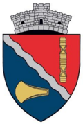 Coat of arms of Pianu