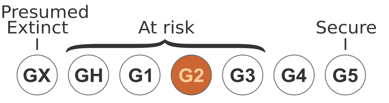 Status TNC G2.svg