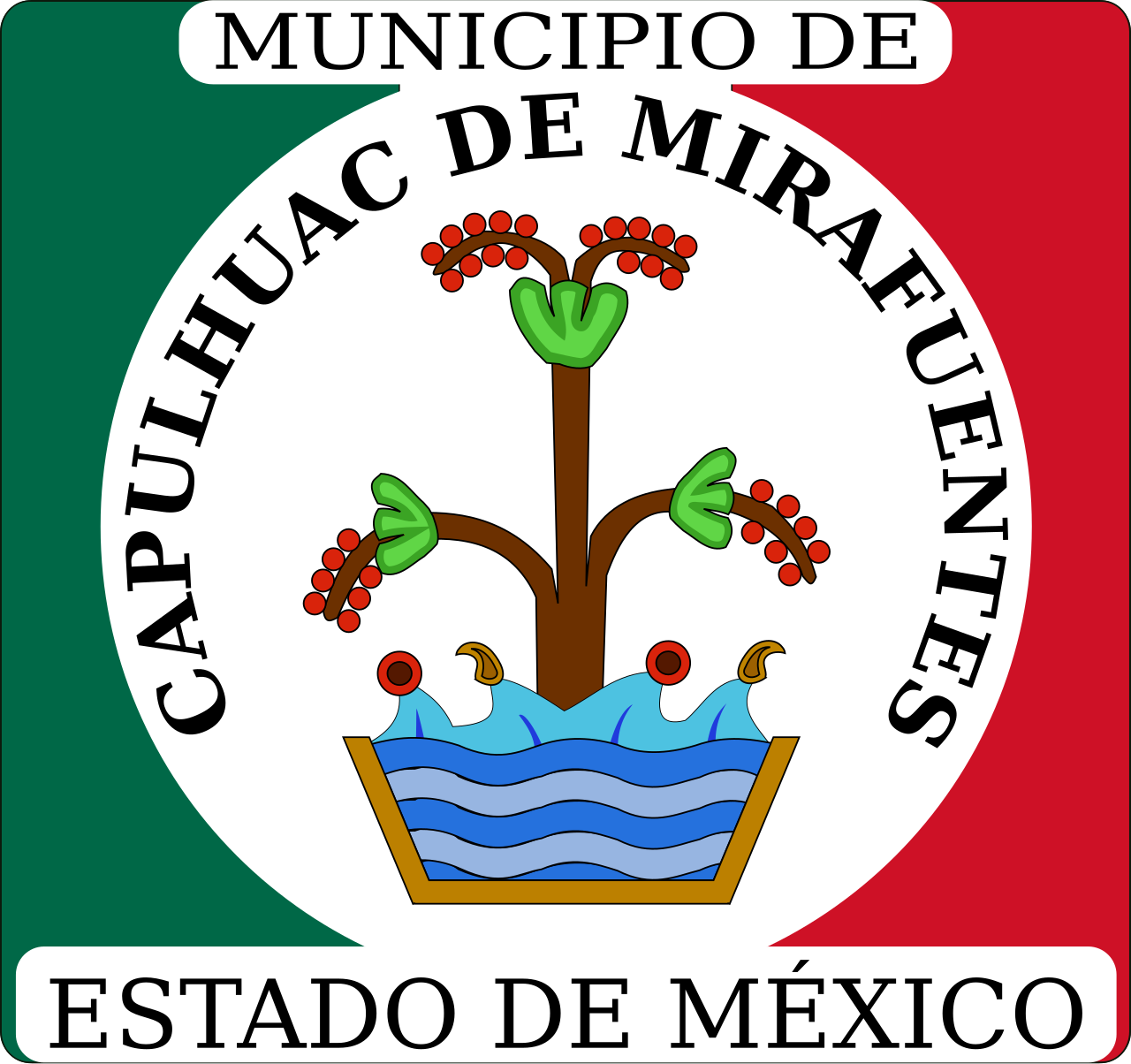 CAPULHUAC.svg