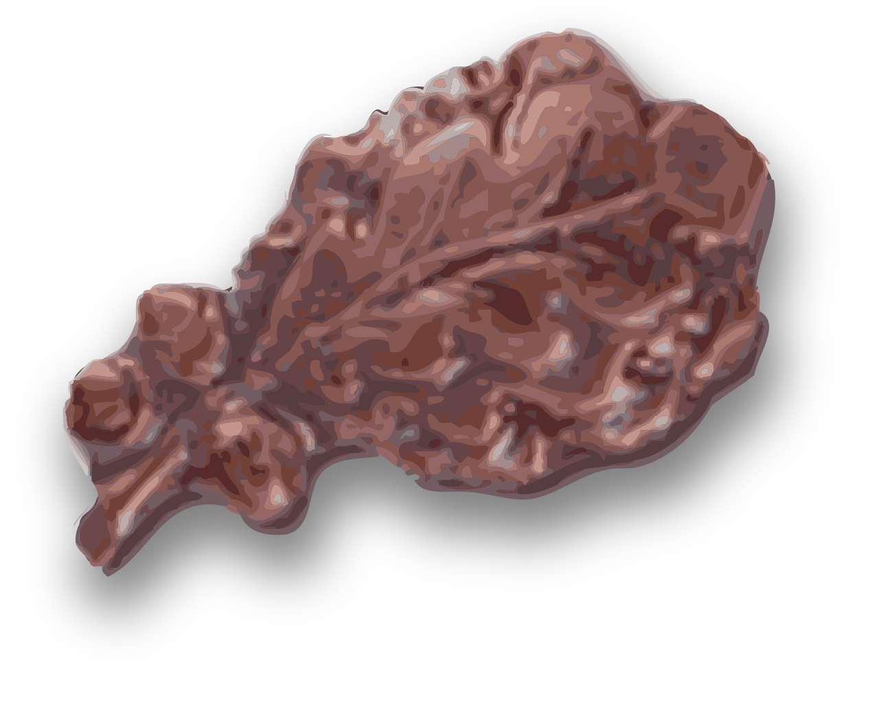 Bronze oak leaf-3d.svg