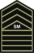 Senior master sergeant insignia Philippine Army