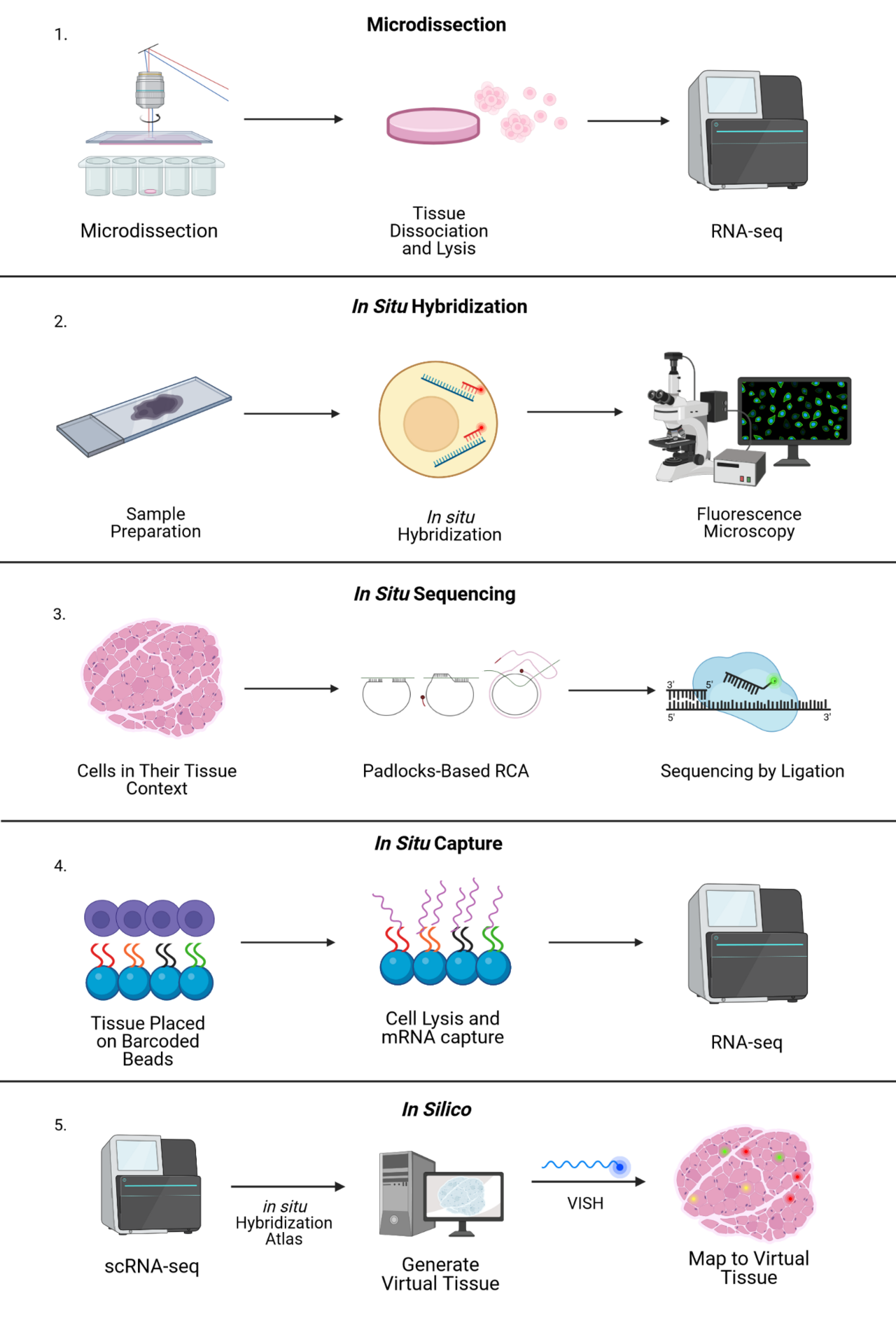 Spatial Transcriptomics Overview.png