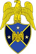 Insignia for an aide to the vice chief of the National Guard Bureau