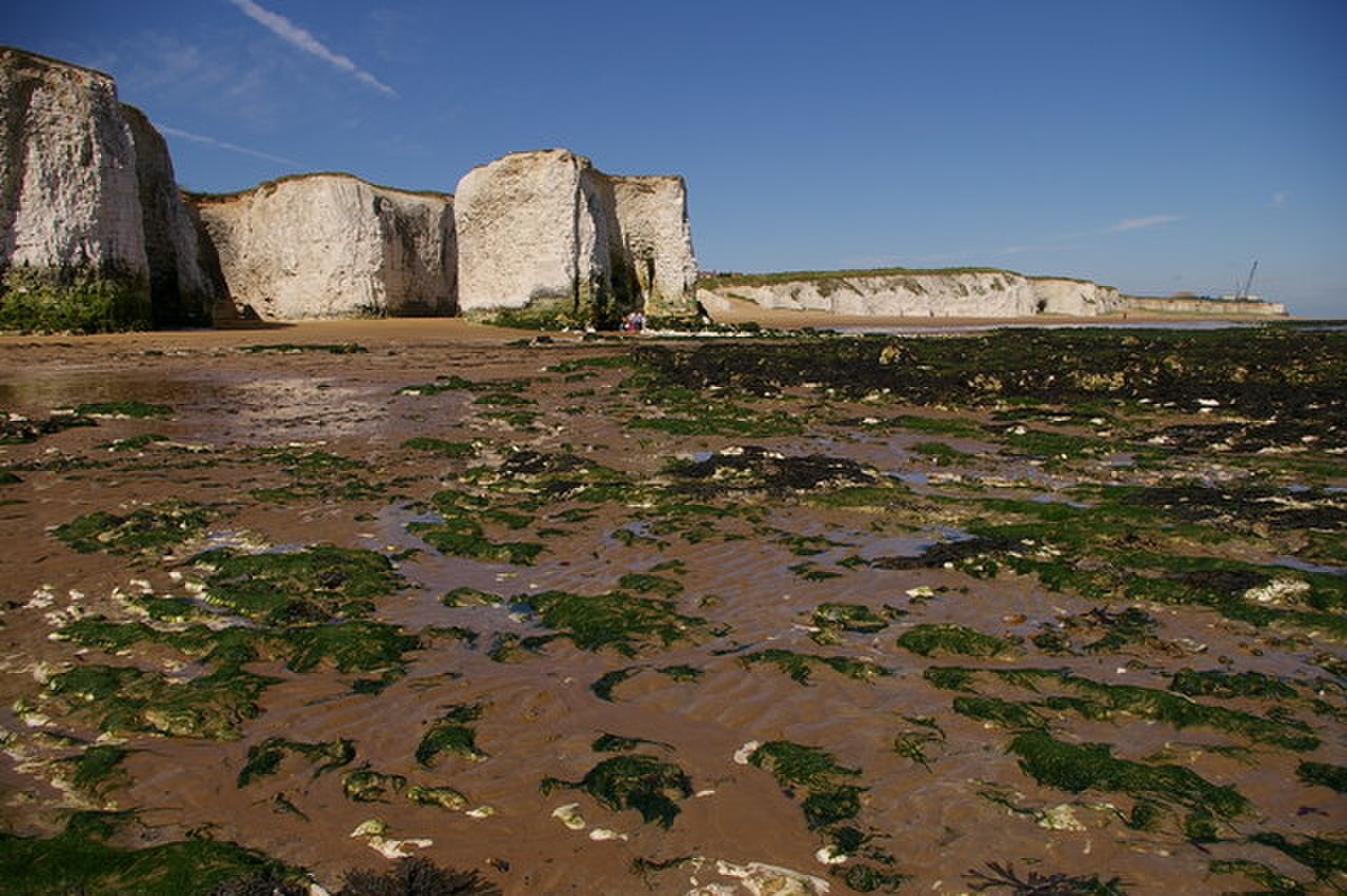 Foreness Point from Botany Bay (low tide) - geograph.org.uk - 248364.jpg