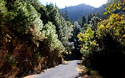 Shilly sanctuary area Solan