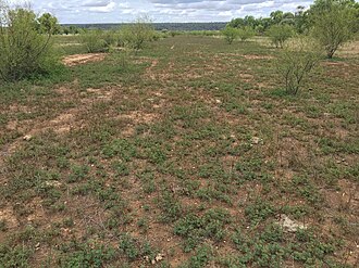 During drought, 2016
