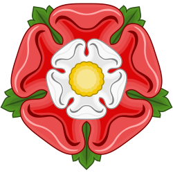 A red and white flower.